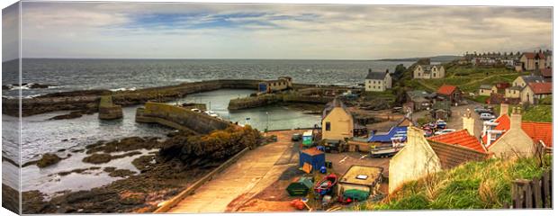 The Harbour at St Abbs Canvas Print by Tom Gomez