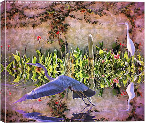 the herons are returning to my mexican garden Canvas Print by john kolenberg