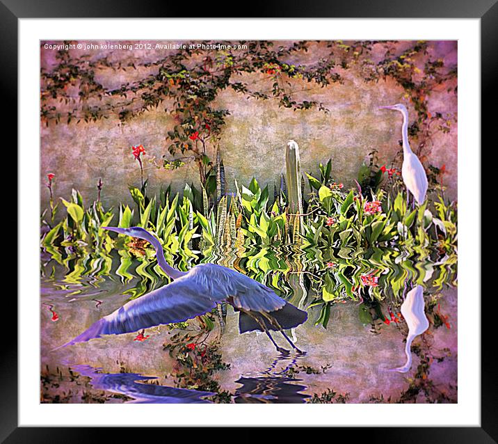 the herons are returning to my mexican garden Framed Mounted Print by john kolenberg