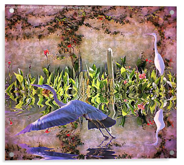 the herons are returning to my mexican garden Acrylic by john kolenberg