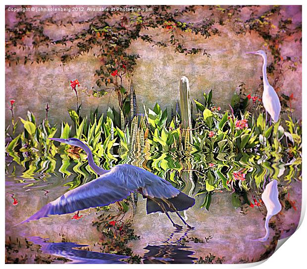 the herons are returning to my mexican garden Print by john kolenberg