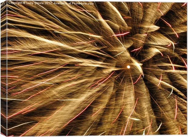 Fireworks or Feathers? Canvas Print by Lucy Steele