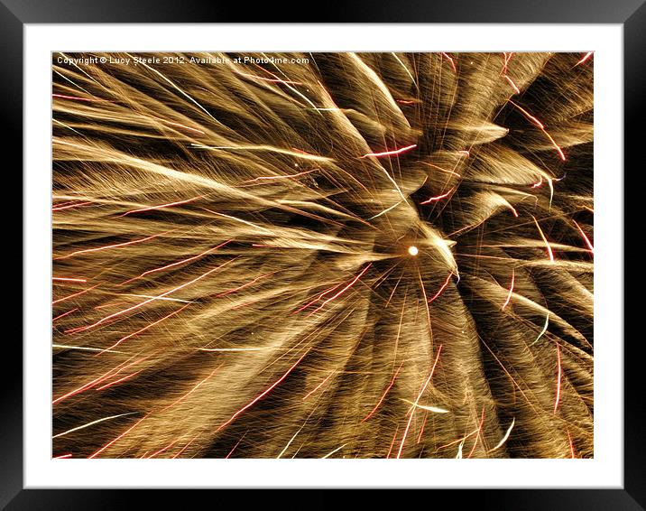 Fireworks or Feathers? Framed Mounted Print by Lucy Steele