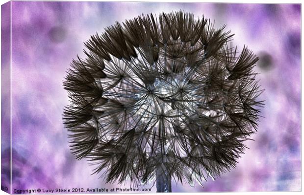 Inverted Dandelion Canvas Print by Lucy Steele