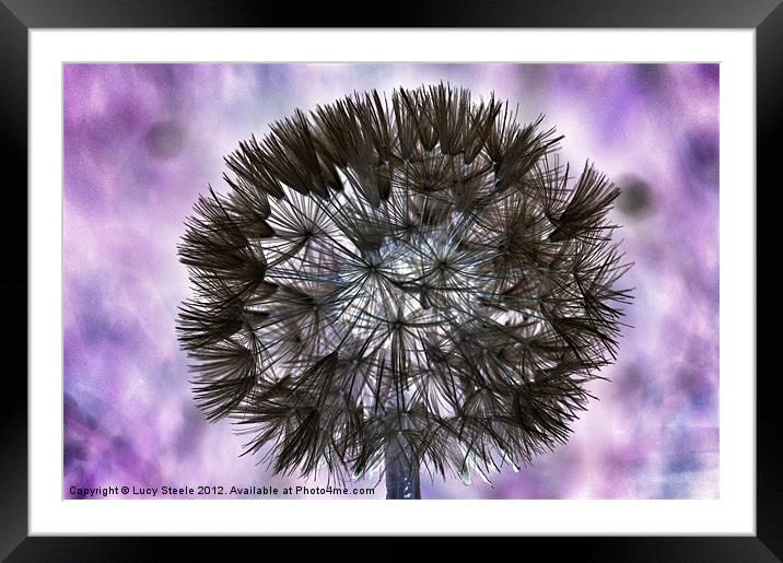 Inverted Dandelion Framed Mounted Print by Lucy Steele