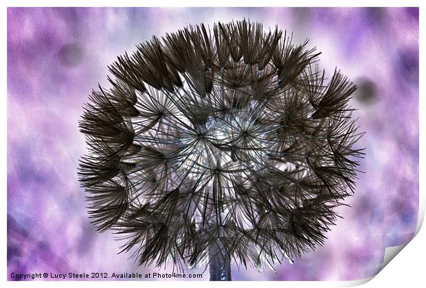 Inverted Dandelion Print by Lucy Steele