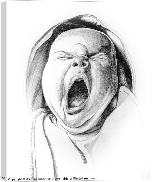 New Yawn Canvas Print by Westley Grant