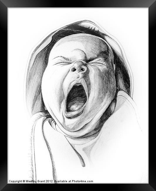 New Yawn Framed Print by Westley Grant
