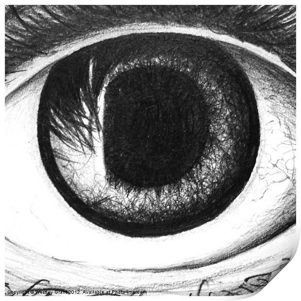 All Seeing Eye Print by Westley Grant