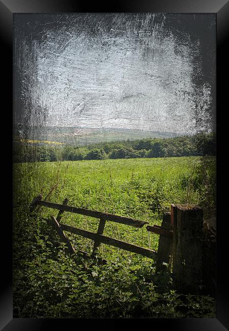 Broken Gate Yorkshire Framed Print by Dan Davidson