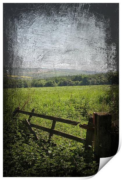 Broken Gate Yorkshire Print by Dan Davidson