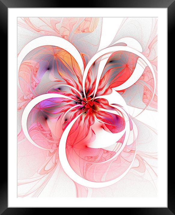 Pretty in Pink Framed Mounted Print by Amanda Moore