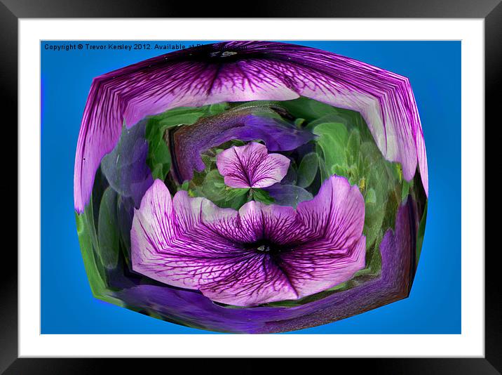 Purple Petunia Framed Mounted Print by Trevor Kersley RIP