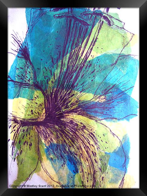 Exotic Flower Framed Print by Westley Grant