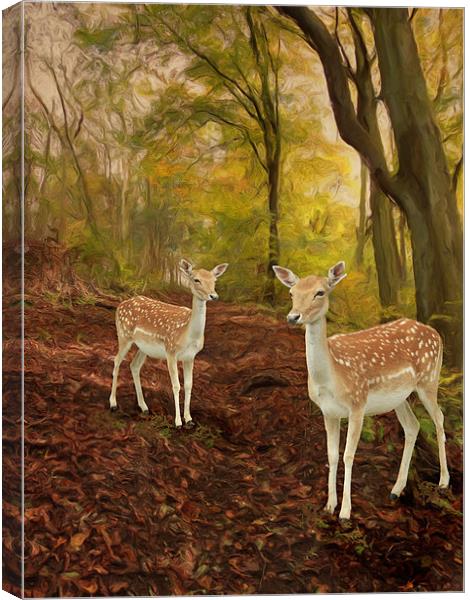 Two Little Deer's Canvas Print by Martin Parkinson