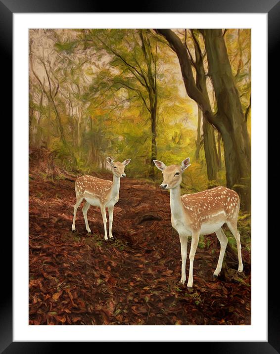 Two Little Deer's Framed Mounted Print by Martin Parkinson