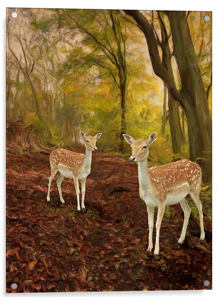 Two Little Deer's Acrylic by Martin Parkinson