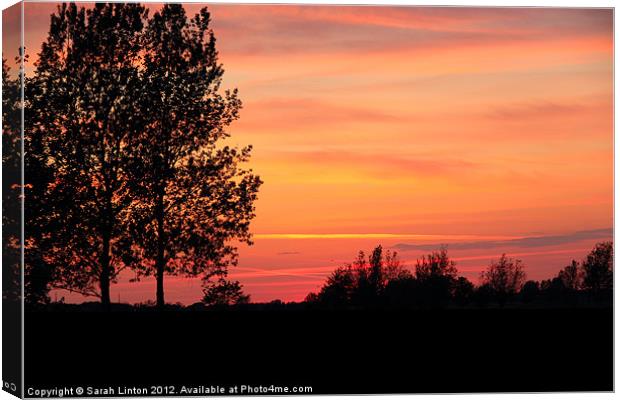 May Sunset Canvas Print by Sarah Osterman