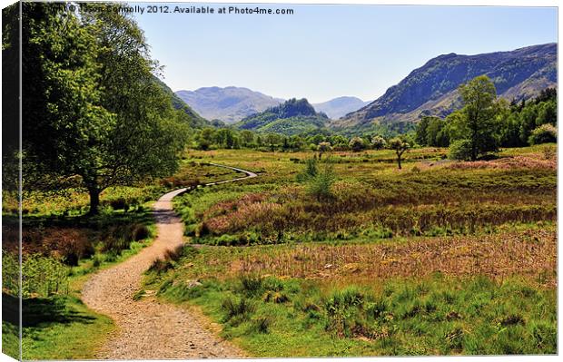 Into The Jaws Of Borrowdale Canvas Print by Jason Connolly
