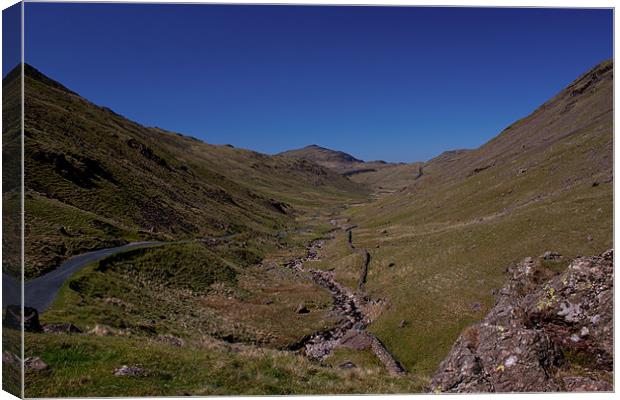 Wrynose Pass Canvas Print by Roger Green