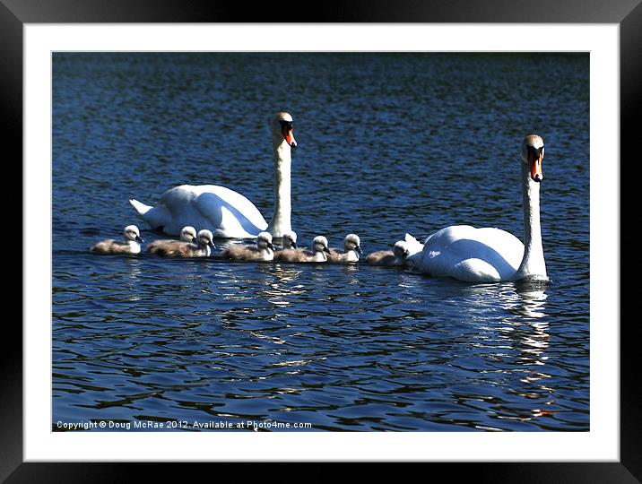 Family outing Framed Mounted Print by Doug McRae