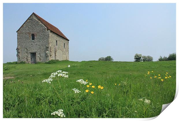 St. Peters Wild Flowers Print by Adrian Wilkins