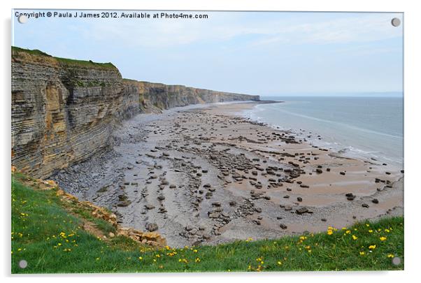 Monknash Coast, Vale of Glamorgan Acrylic by Paula J James