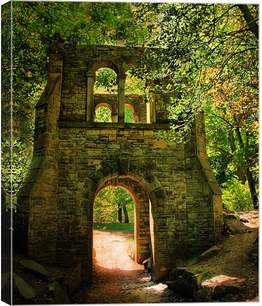 The Arch Canvas Print by Irene Burdell