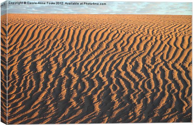 Slithering Sand after Sunrise Canvas Print by Carole-Anne Fooks