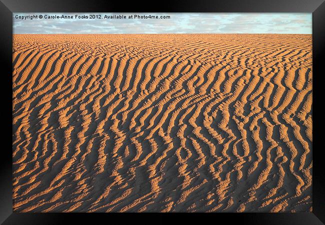 Slithering Sand after Sunrise Framed Print by Carole-Anne Fooks