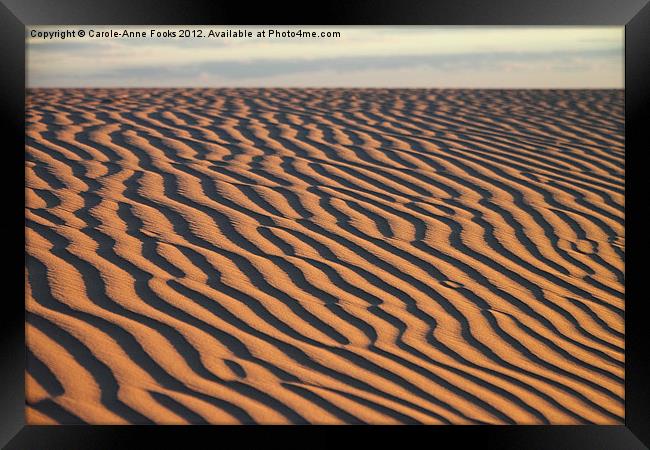 Dune detail at Sunrise Framed Print by Carole-Anne Fooks