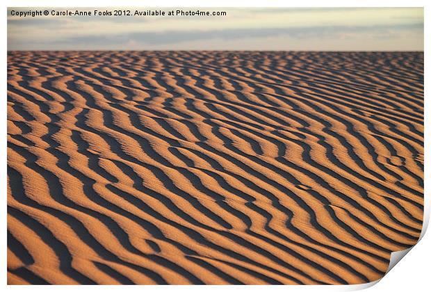 Dune detail at Sunrise Print by Carole-Anne Fooks
