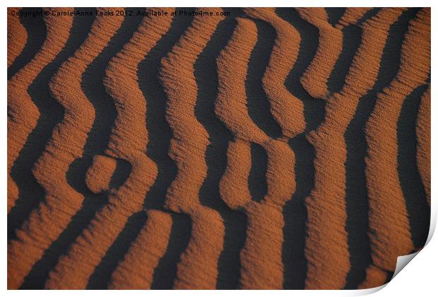 Dune Pattern Detail Print by Carole-Anne Fooks