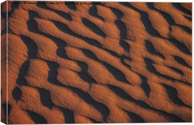Dune Pattern Detail Canvas Print by Carole-Anne Fooks