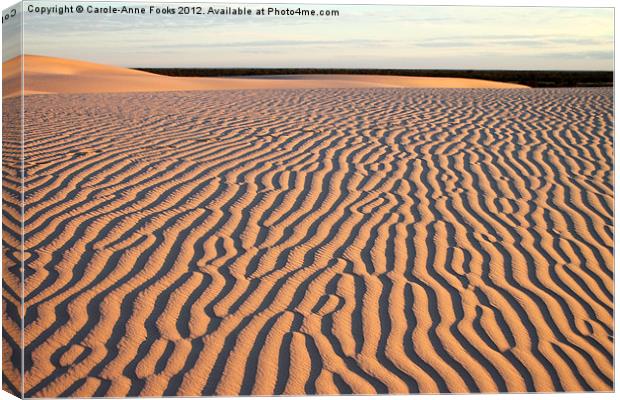 Dunes at Sunrise, Mungo Canvas Print by Carole-Anne Fooks