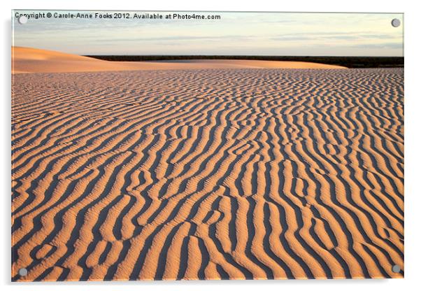 Dunes at Sunrise, Mungo Acrylic by Carole-Anne Fooks