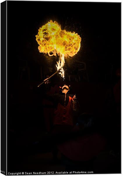 Fire Breather Canvas Print by Sean Needham