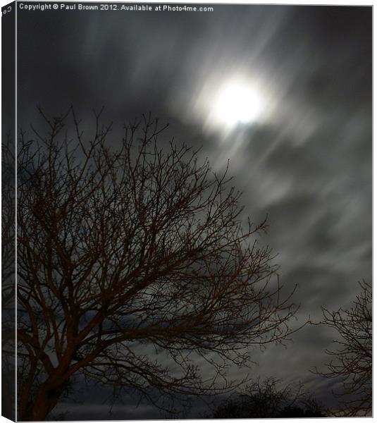Moonlight Canvas Print by Paul Brown