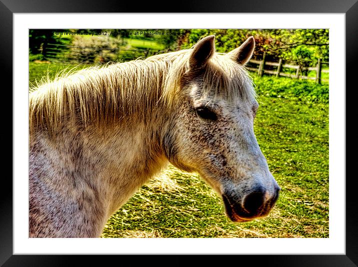 White Horse Framed Mounted Print by Trevor Kersley RIP