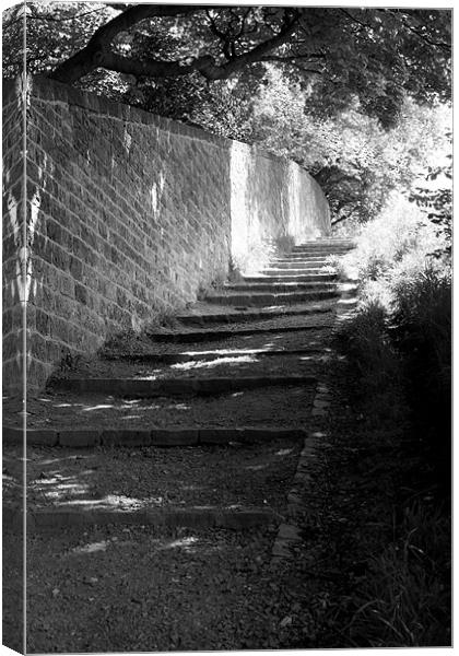 Pathway Canvas Print by Frank Goodall