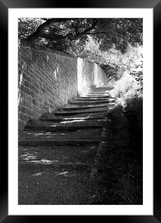 Pathway Framed Mounted Print by Frank Goodall