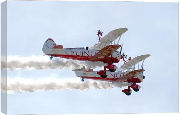 Wing Walkers Canvas Print by Frank Goodall
