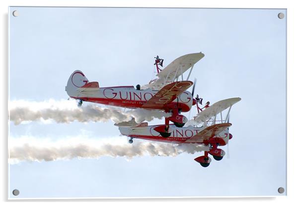 Wing Walkers Acrylic by Frank Goodall