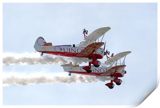 Wing Walkers Print by Frank Goodall
