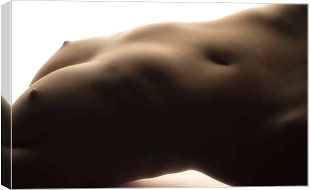 attractive nude body Canvas Print by sharon hitman