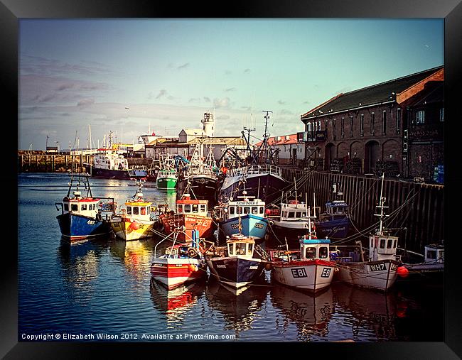Boats Resting In The Harbour Framed Print by Elizabeth Wilson-Stephen