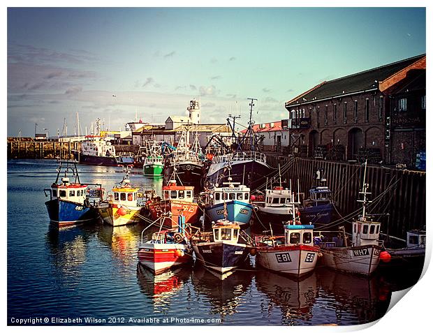 Boats Resting In The Harbour Print by Elizabeth Wilson-Stephen
