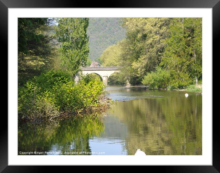 looking over a river Framed Mounted Print by April Powell