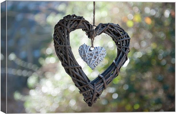 Heart with a Heart Canvas Print by Helen Northcott
