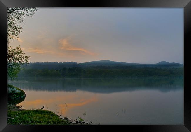 Burrator Reservoir Framed Print by David Martin